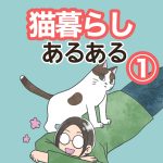 猫暮らしあるある・①